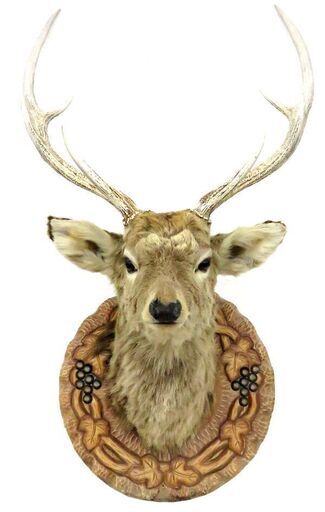 鹿 剥製 ハンティングトロフィー 木製台 コレクション オブジェ 壁掛け