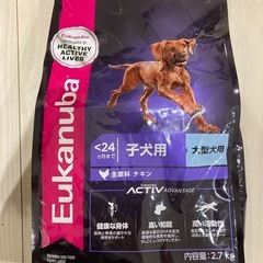 セール開催中】芝刈機SHIBAURA GEF15SE-2