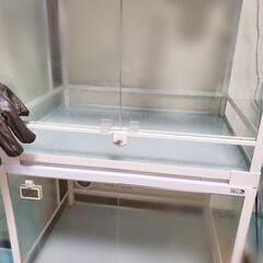 爬虫類ケージの中古が安い！激安で譲ります・無料であげます｜ジモティー 