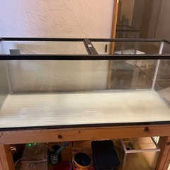 交渉受けます。120センチ水槽のフルセット（生体はセットでは