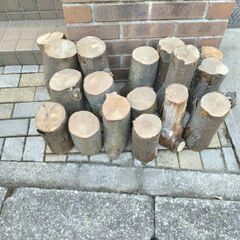 樹木の中古が安い！激安で譲ります・無料であげます｜ジモティー 