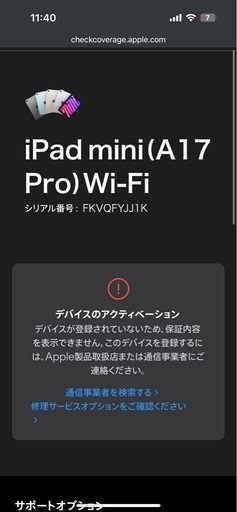 iPad mini Wi-Fi 256gb スペースグレイ iPad mini Wi-Fi + Cellular