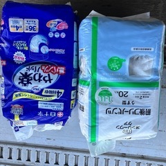 デザートラブ (オバティフォリア×アスペリーマ) 希少 特大