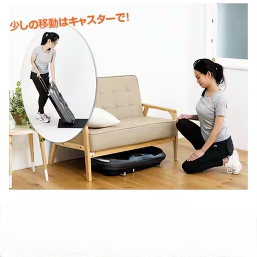 ALINCO バランスウェーブ