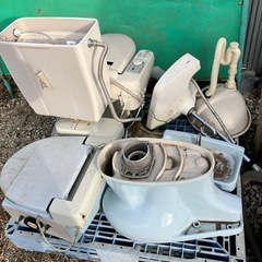 デザートラブ (オバティフォリア×アスペリーマ) 希少　特大 デザートラブ (オバティフォリア×アスペリーマ) 希少 特大