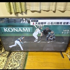 ワラゴレーリー70cm オーバー！ (アズファー) 羽島市役所前のその他の  