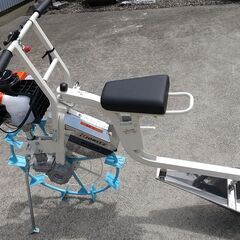 ワラゴレーリー70cm オーバー！ (アズファー) 羽島市役所前のその他の  