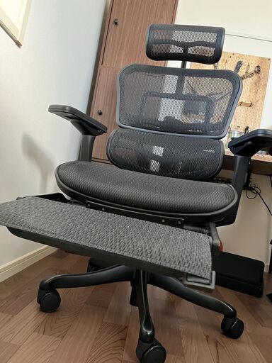 エルゴヒューマン プロ Black Edition（ブラックエディション