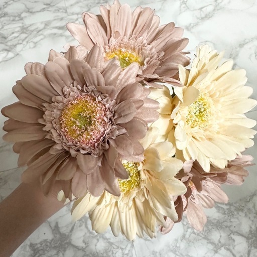 ぉ花本セット　インテリア