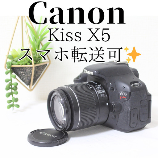 ✨美品✨Canon Kiss X5 ダブルレンズ✨運動会・紅葉✨初心者向け
