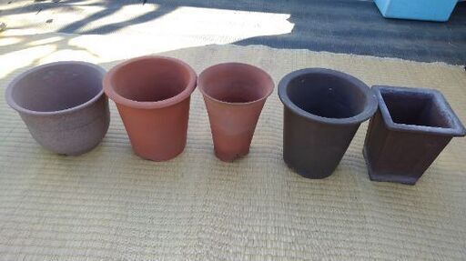 蘭鉢オモト鉢色々