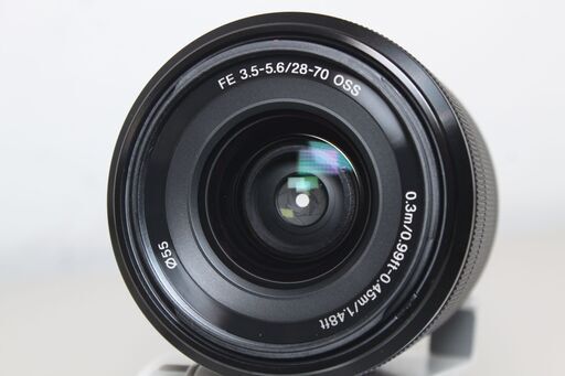 Canon/EF100mm F2.8 マクロ/望遠マクロレンズ ⑥（Canon EF