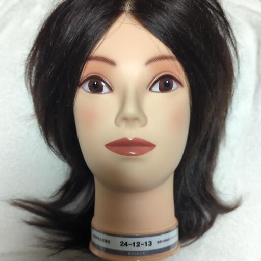 美容師国家試験カットウィッグ 美容師国家試験 カットウィッグ 7体