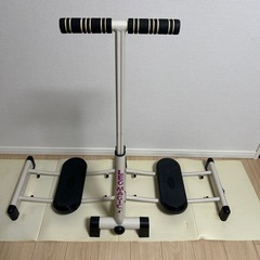 家庭用永久磁石磁気治療器 良導ベスト テラヘルツ粒 ゲルマニウム粒