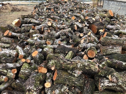 No40 薪 梨の玉切り 3トン分　引取り限定 No40 薪 梨の玉切り 3トン分 引取り限定