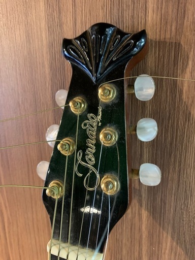 Morris エレアコギター Tornado ZII モーリス トルネード Morris