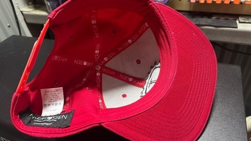 HYDROGEN　キャップ　イタリアガレージカスタム　ラファエル着用 ガル様専用 ラファエル着用 ハイドロゲン イタリア ガレージカスタム