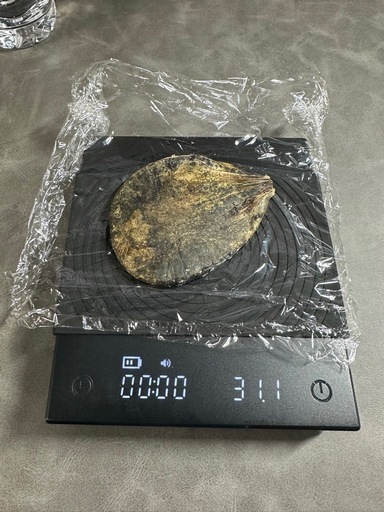 熊の胆嚢 31.1g