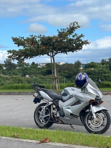 VFR800 VTEC v4 プロアーム