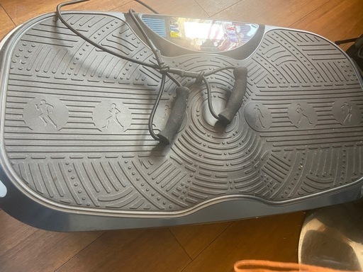 alinco fitness 震动機