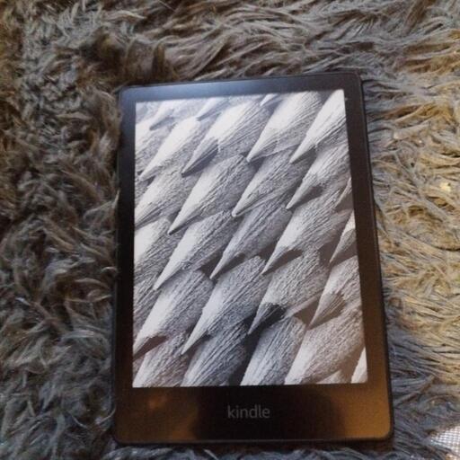 【広告なし】Kindle paperwhite 8GB 11世代