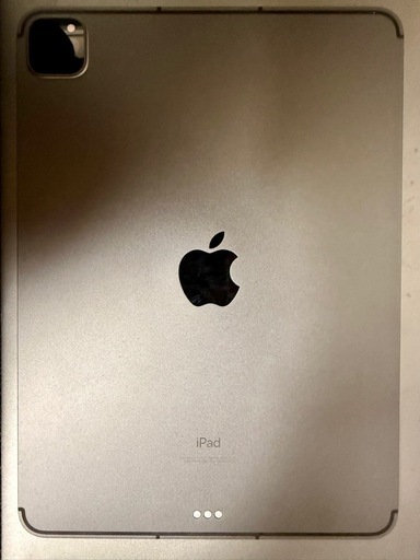 11インチiPad Pro第3世代Wi-Fiモデル256GB 【公式通販】