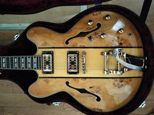 YAMTO エレキギター セミアコ ハードケース付き 年内限り 交渉可