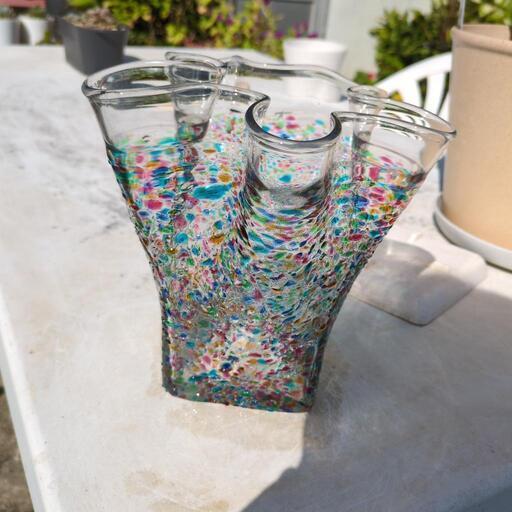 ユーフォルビア ピグエリー 親株 ガーデニング 観葉植物 塊根植物 多肉