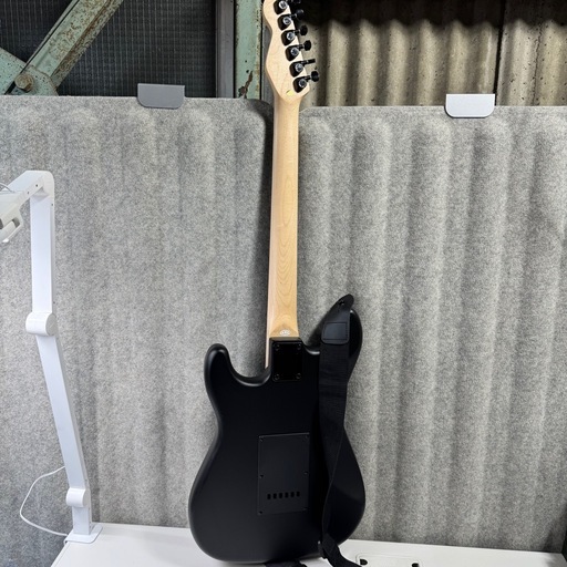 セルダーエレキギターストラトキャスター SELDER / Stratocaster