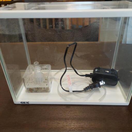 GEXエアレーション\u0026水槽