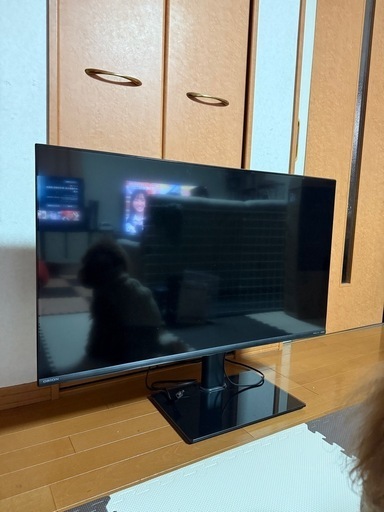 チューナーレステレビ