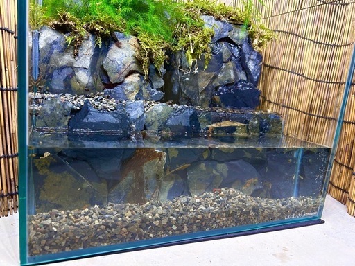 水の流れる滝テラリウム水槽　オールガラス45 水の流れる滝テラリウム水槽 オールガラス60 （自然の中の飼育箱