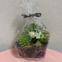 受け渡し予定者決定】【新品未使用】観葉植物フェイクグリーンタイワンモミジ210㎝ (eei)  川口の家具の中古あげます・譲ります｜ジモティーで不用品の処分