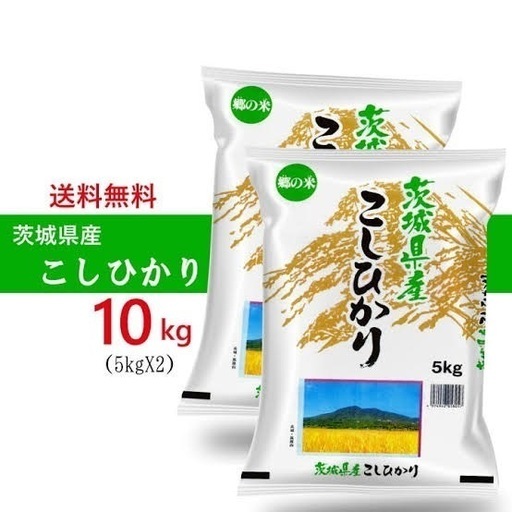 無洗米 令和8年5月内発送 茨城県産 コシヒカリ 10kg 米