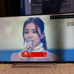 東芝 REGZA 液晶テレビ 43インチ動作確認済み 【訳あり】