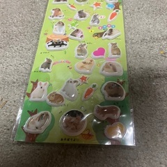 27枚の雑多なポケモンカード（英語）（ファーストエディション）