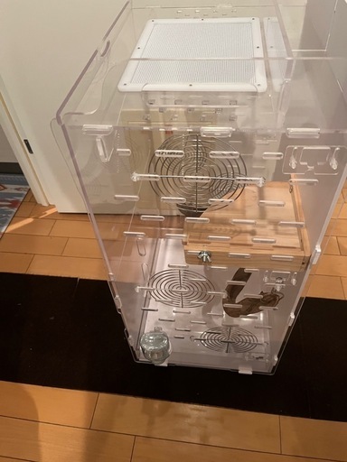 【値下げ】【中古/送料無料】 モモンガ アクリルケージ 高価 ケージ モモンガ」の人気商品一覧 | 安い商品を通販サイトから探す