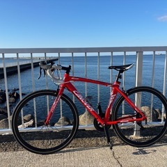 トレーディアレインロッドマウンテンバイク