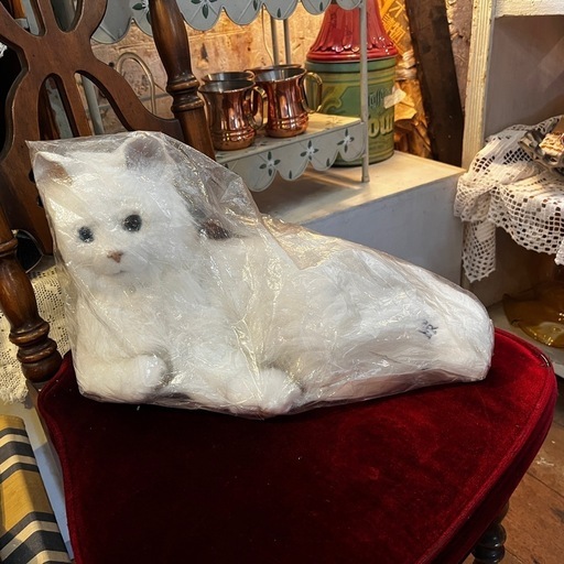 SEGA 夢ねこヴィーナス 札幌市西区 山の手 モノココ 店内の雰囲気、今 