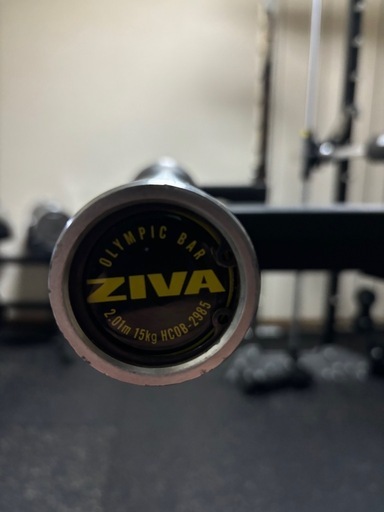 iROTEC PRO プロフェッショナルオリンピックシャフト8B 2200mm 楽天