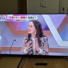 大画面テレビ　Qriom ARC58W4K 