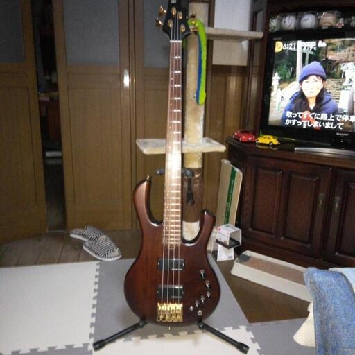 ESPボトムライン☆アクティブ☆状態A ESP 初期型 Bottom Line