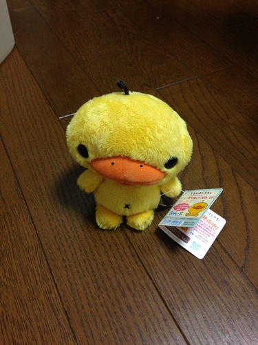 かものはしかも ぬいぐるみ あひる 国分寺のおもちゃ ぬいぐるみ の中古あげます 譲ります ジモティーで不用品の処分 かものはしかも ぬいぐるみ あひる 国分寺のおもちゃ ぬいぐるみ の中古あげます 譲ります ジモティーで不用品の処分