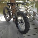 サーリー　ムーンランダー