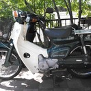 綺麗なスーパーカブ　C50  、1981年式　新品部品交換有り