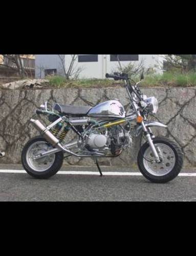 モンキーフルメッキ
