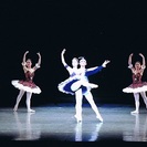 Mariko Ballet Arts  座間教室 無料体験レッス...