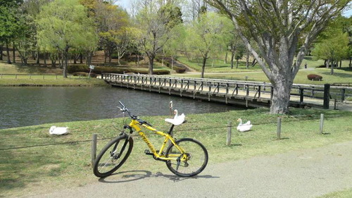 スペシャライズド ハードロック 69erディスク 小売業者 