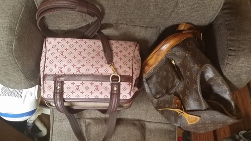 チェリー色のルイヴィトンはまだ綺麗です。子供が居てｼｮﾙﾀﾞｰ付きのほうが手が空くと思い購入しました。中は汚したくなかったのでカバンの中にカバンを入れるなど工夫しておりました。もう１つのルイヴィトンは売るにも売れない商品なのでタダで差し上げます。