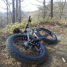 2014   サーリー   ムーンランダー